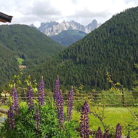 Kellnerhof Villa โนวาเลวานเต ภายนอก รูปภาพ