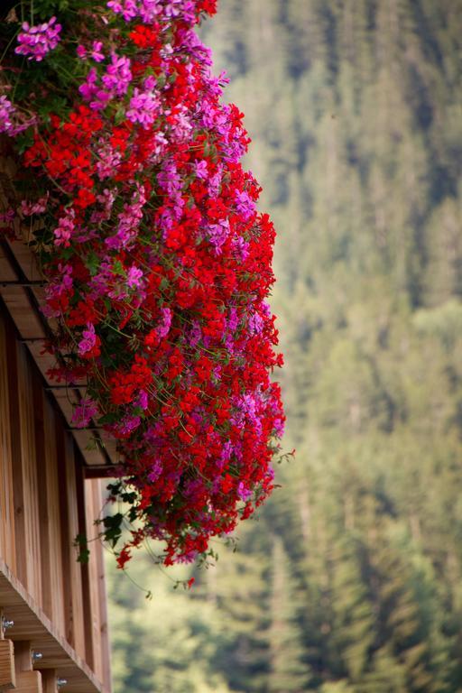 Kellnerhof Villa โนวาเลวานเต ภายนอก รูปภาพ