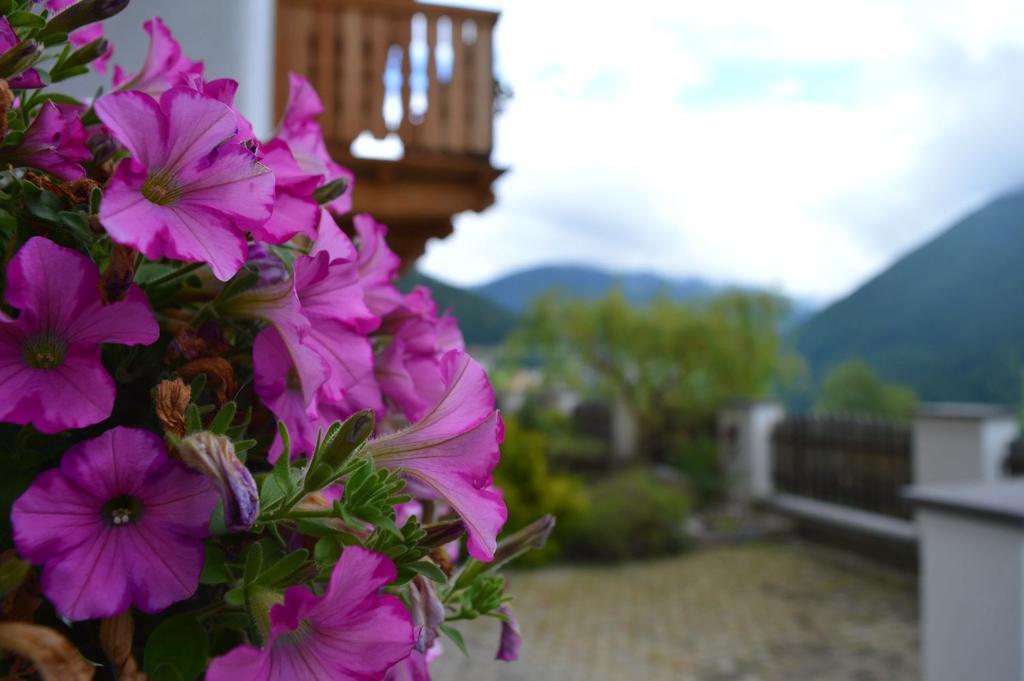 Kellnerhof Villa โนวาเลวานเต ภายนอก รูปภาพ