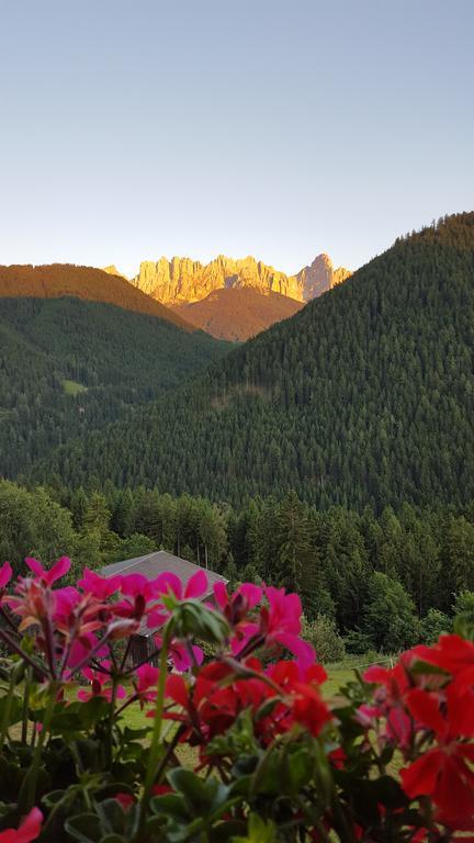 Kellnerhof Villa โนวาเลวานเต ภายนอก รูปภาพ