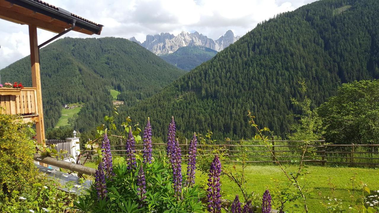 Kellnerhof Villa โนวาเลวานเต ภายนอก รูปภาพ